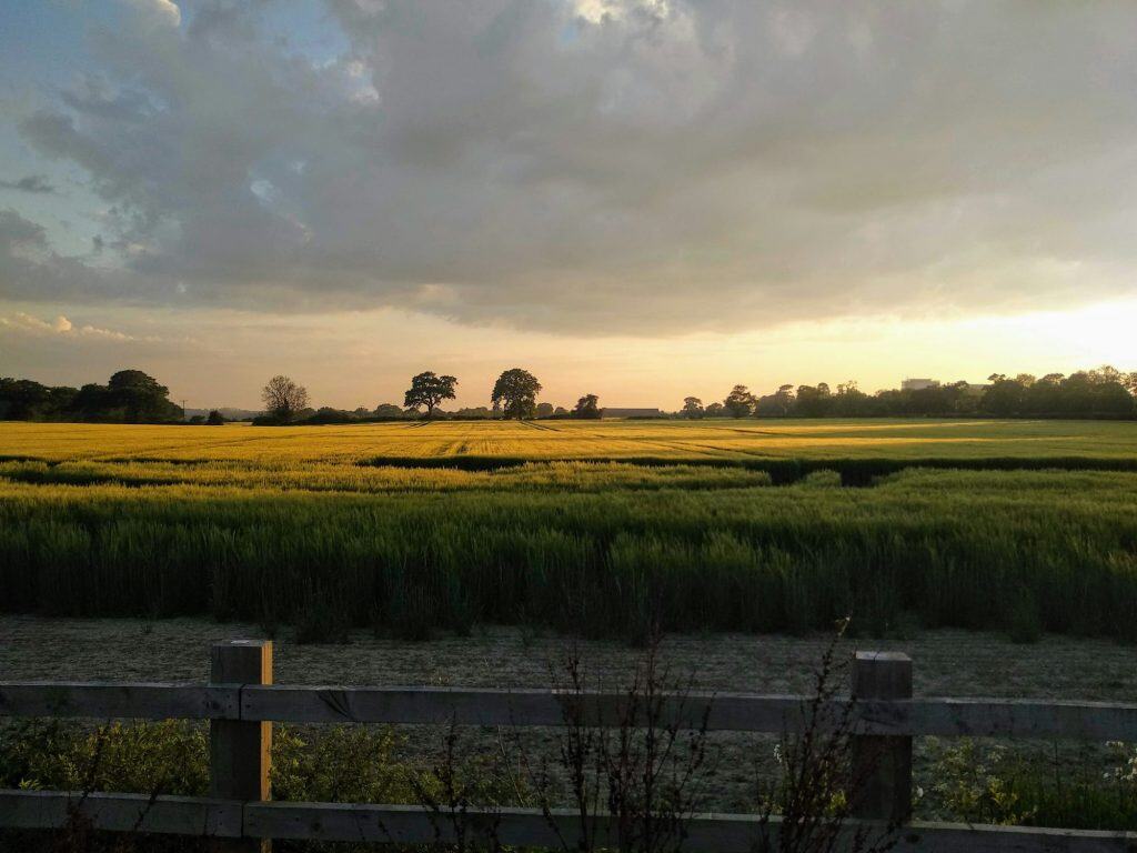 Green grass field under cloudy sky during daytime